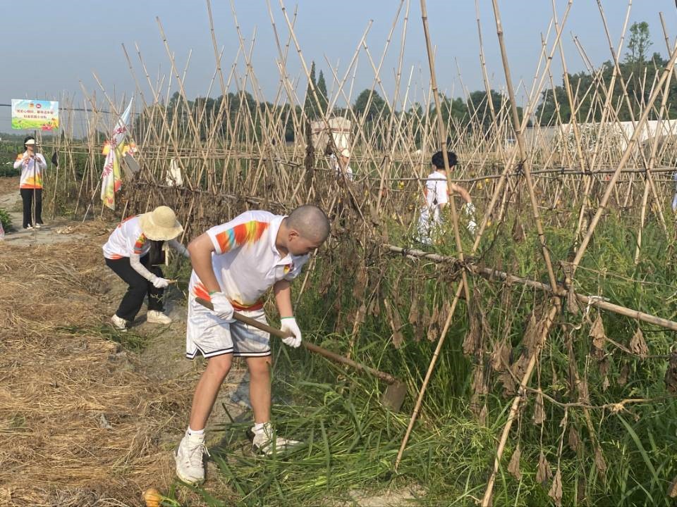新津区柳江蔬菜基地,同学们参与劳动实践.jpg 新津区柳江蔬菜基地,同学们参与劳动实践.jpg